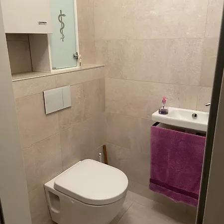 Anton Bruckner Lounge L Free Parking Apartman Linz
